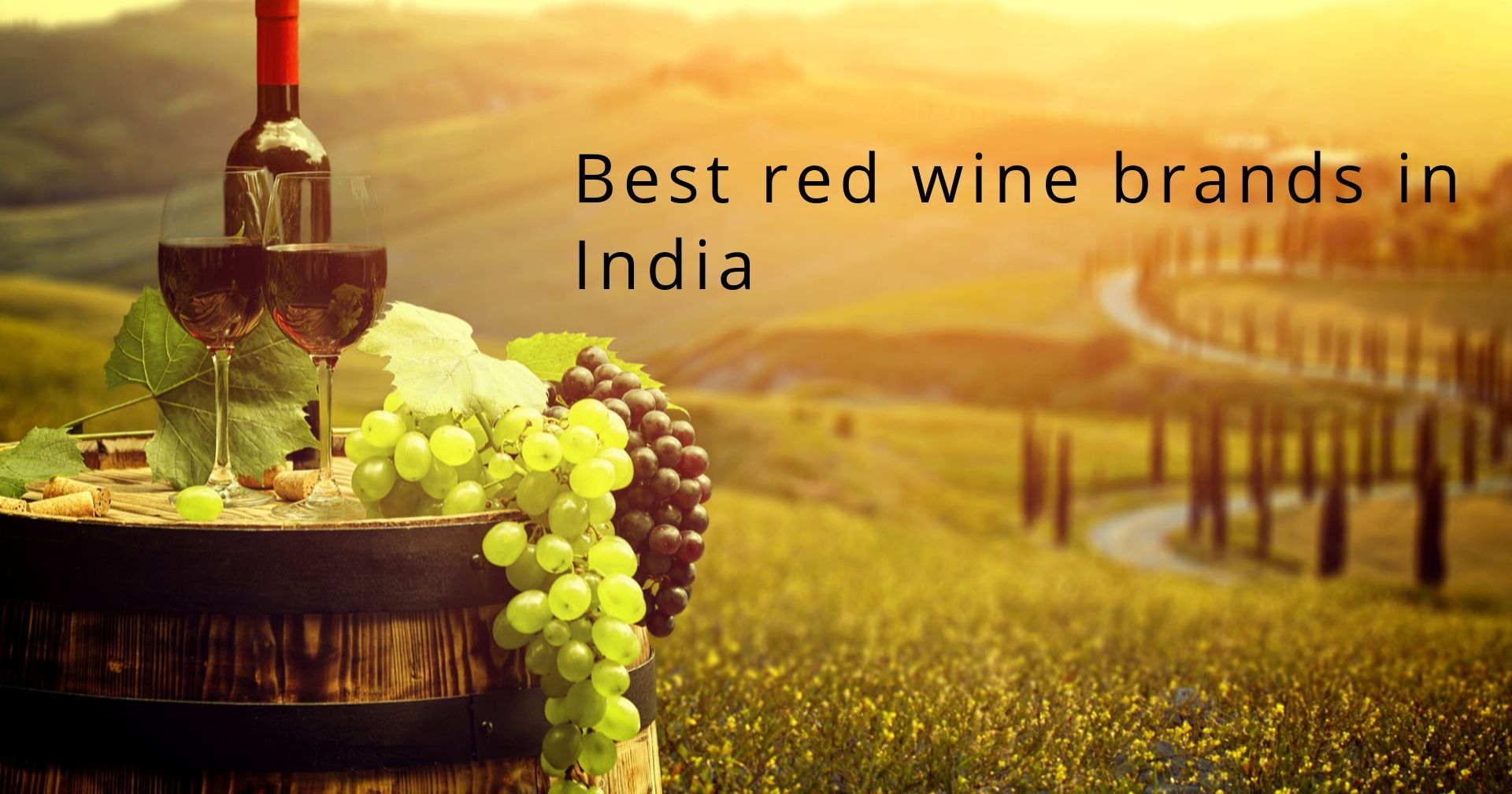 Best red wine brands in India