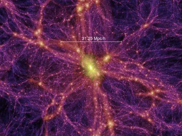 Shapley SuperCluster