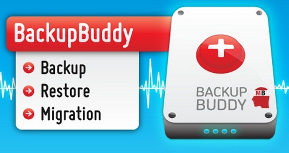 backup buddy plugin