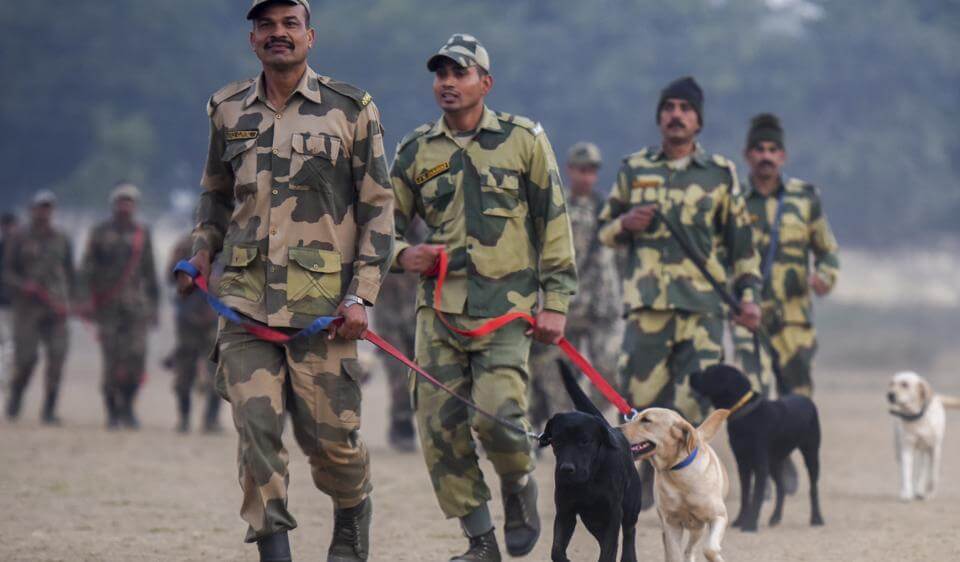 BSF dog training center (1)