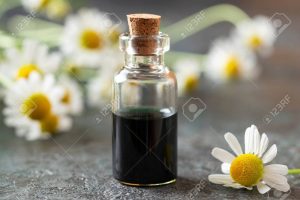 German Chamomile Oil